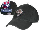 Кепка Флорида Пантерз / Florida Panthers '47 Brand Franchise Fitted Hat