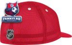 Кепка Детройт Ред Уингз / Detroit Red Wings Beige Game Day Pro Shape Flat Brim Flex Hat