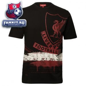 Футболка детская Ливерпуль / t-shirt kids Liverpool