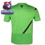 Футболка Португалия / Portugal Training Top - Action Green/Anthracite
