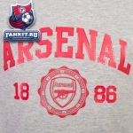 Детская футболка Арсенал / Arsenal Graphic Tee Grey